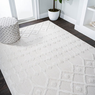 Peralta Moroccan Diamond Indoor/outdoor Area Rug